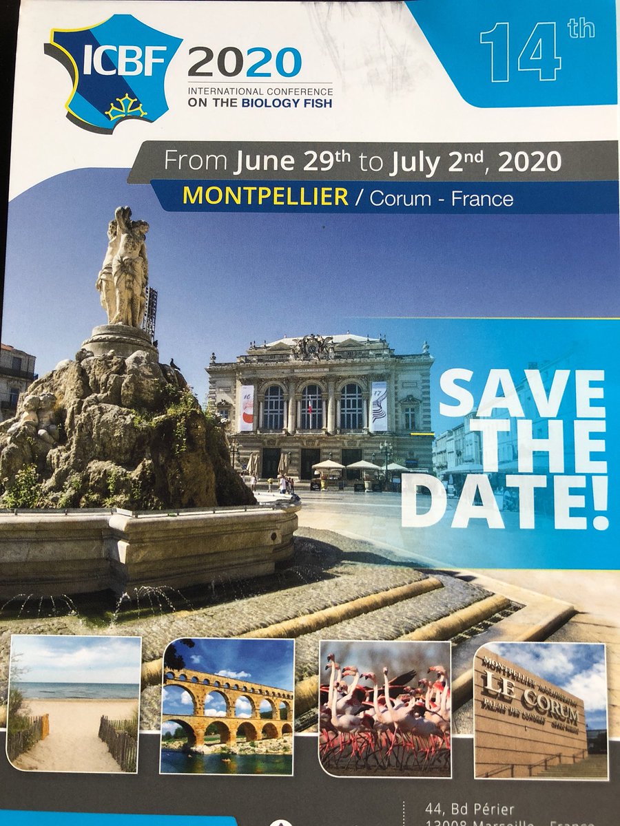 PhysiologyAFS's tweet photo. We bid farewell to Calgary and ICBF 2018, it was a blast! Looking forward to Montpellier in 2020. #ICBF2018 #fishrawesome #ICBF2020 https://t.co/GAVkSluePT