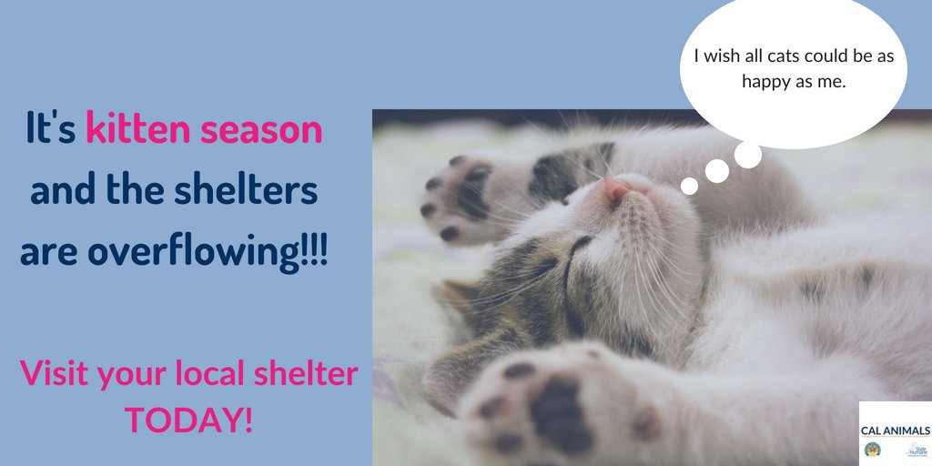 California Animal Welfare Association tweet media