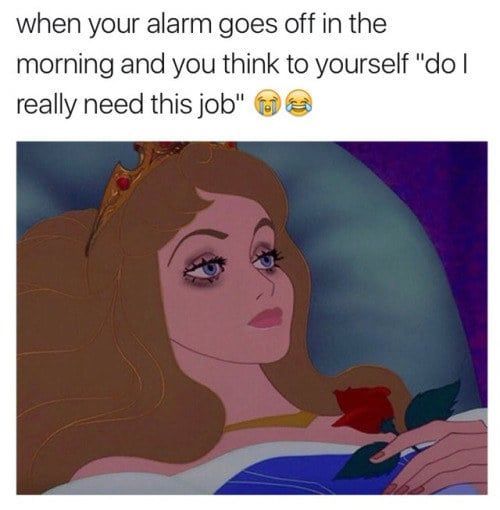 Quality_Sleep_P's tweet photo. https://t.co/PrkF36yYbX