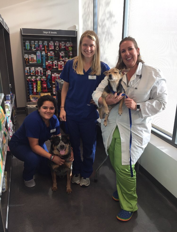 GroomeryOakPark's tweet image. Thank You #vippetcare Join us every Wednesday at The Groomery for our weekly shot clinic from 5pm-7pm