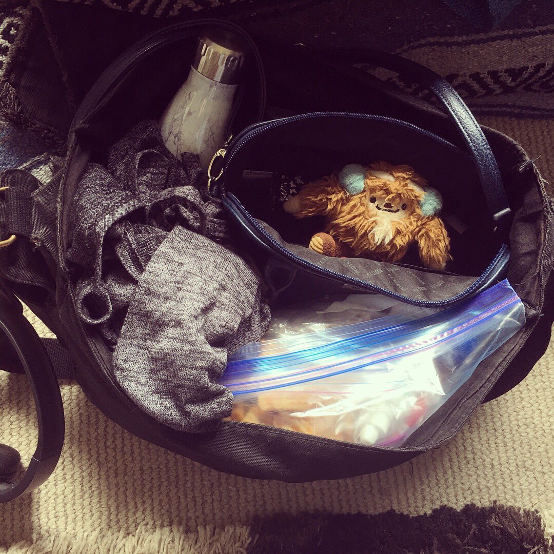 AnitaEccleston's tweet photo. My bags are packed, and we are boarding. I'm GOING TO CALIFORNIA. #mariachi #musicianlife #trumpet #stowaway #mariachifestival #womensmariachi #allfemaleband #Canada #USA #representingcanada #mariachifemenil #mujeres https://t.co/dnLyAFu5IQ