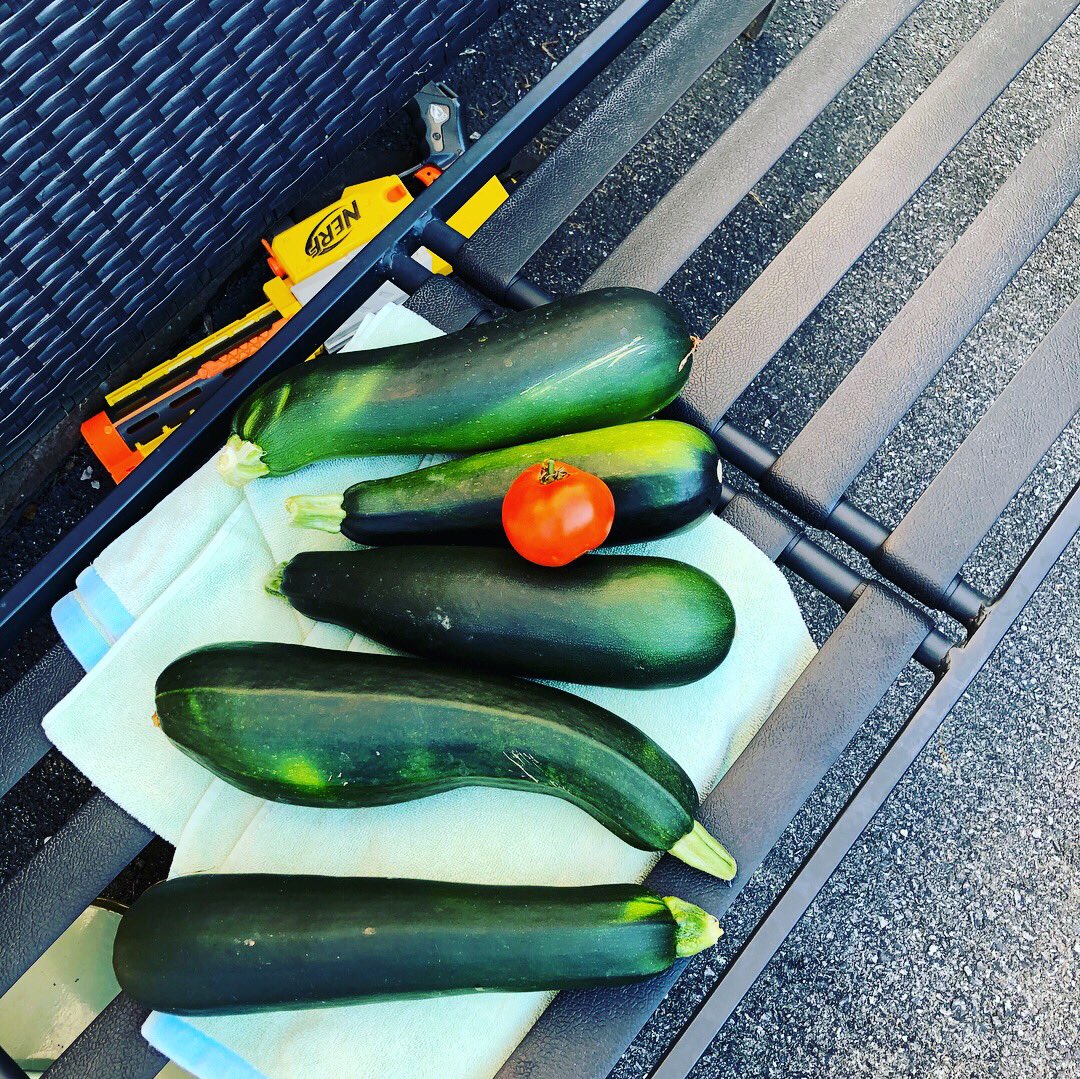 Yesterday’s haul 👩🏽‍🌾