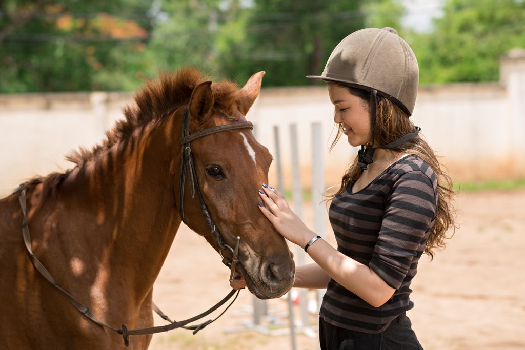 PalmerHome's tweet photo. Exposure to horses on the Palmer Home campus inspired Avery to pursue a degree in veterinary medicine. Your Palmer Heroes gift could create a future artist, musician or athlete. Set up your monthly gift today. https://t.co/ZvSdTYMBNA https://t.co/yaRckJodP5