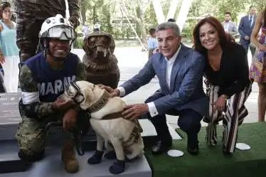 AliciaSalgadoMX's tweet photo. Develan estatua en honor de #Frida, la perrita rescatista, y de su cuidador el maestre Israel Arauz 
👏🐕😍 https://t.co/4SA6WfiHrh