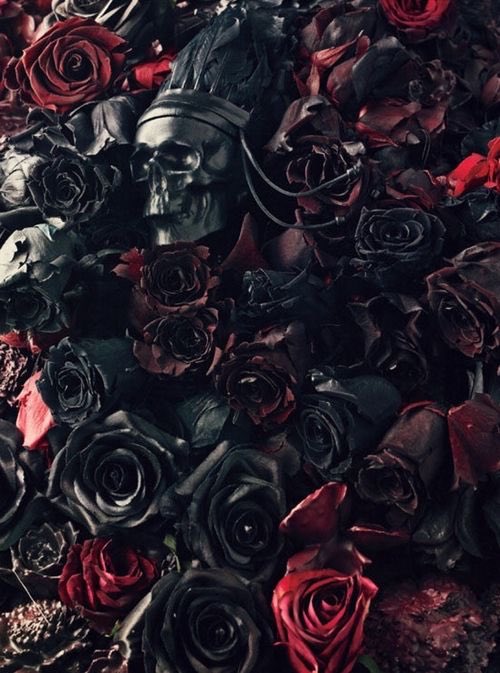 For every nite of his absence. . . 
A dark rose bloomed . . . 
For h e r .

#HouseOfNorthman