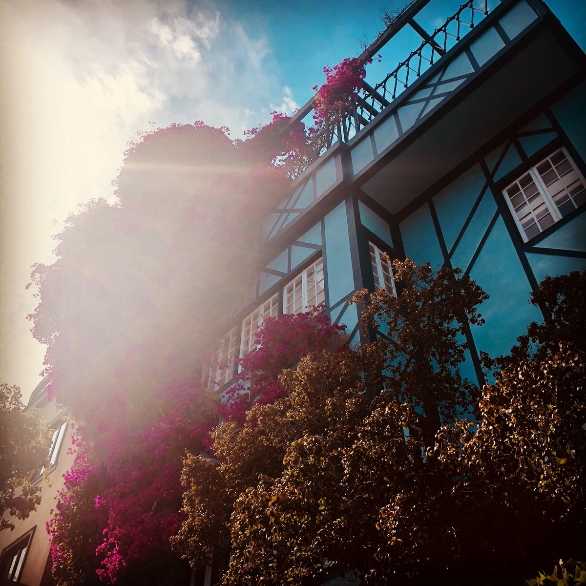 Brandon_Burris1's tweet photo. Lombard street San Francisco. https://t.co/9YnpeSPwPu