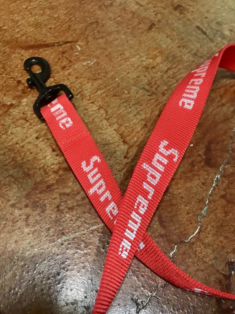 Lv Supreme Dog Collar Literacy Basics