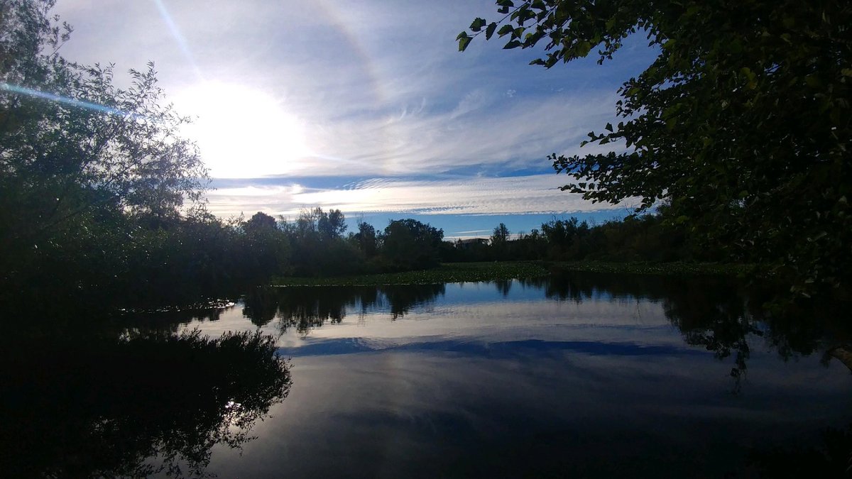 Twenty20Mad's tweet photo. We love to spend our evenings taking in a #sunset at the Washington Park Arboretum! π³
#SeattleParks #ExploreSeattle #Nature #CapitolHillSeattle #Makeityours #LMCliving https://t.co/jWlLQPaoPK