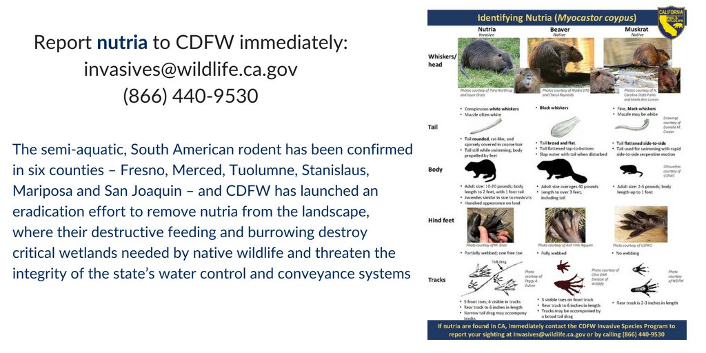 California Animal Welfare Association tweet media