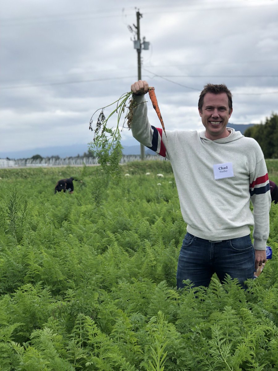 MmeJessicaTeach's tweet photo. We care about carrots!!#bcaitcsummerinstitute2018 https://t.co/Cx25ptNRUC