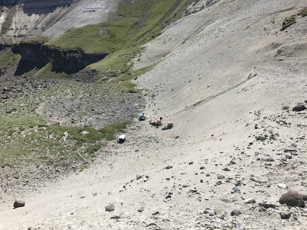 ingthingg's tweet photo. Another wonderful day on Carter Mtn! Lots of #Eocene fossils #fieldwork2018 https://t.co/JzzJtwJQFh