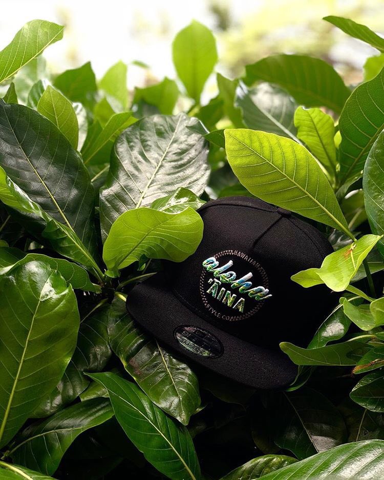 localmotionhi's tweet photo. One with the land! Our #HawaiianStyle “Love Da Land” snapback hat. https://t.co/6QSQkEzuNo