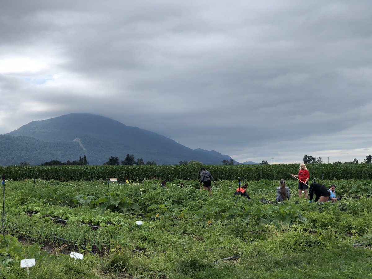 MmeJessicaTeach's tweet photo. Beautiful visit to Sardis Secondary school farm #bcaitcsummerinstitute2018 https://t.co/I4psnV9TKV