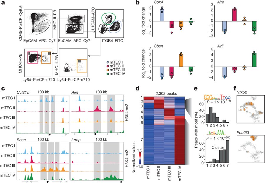 mmw_lmw's tweet photo. #Single_Cell_RNAseq | Mapping Thymic Stromal Cells: new Tuft-like mTEC IV cells | Ido Amit @WeizmannScience @Nature https://t.co/991qXJUBr7 https://t.co/Y0TYCOzhXh