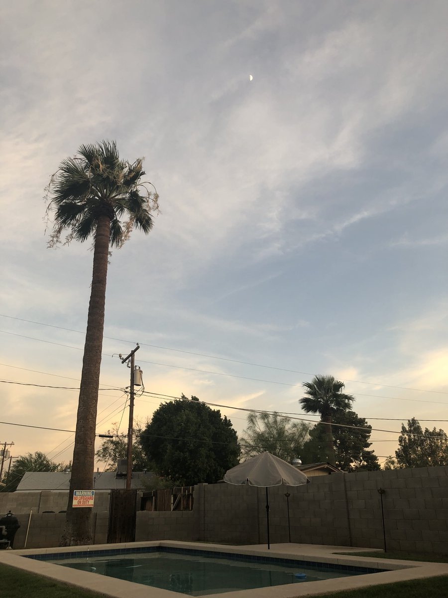 jeaniuscc's tweet photo. Desert chilling https://t.co/QCgbNUnYYK
