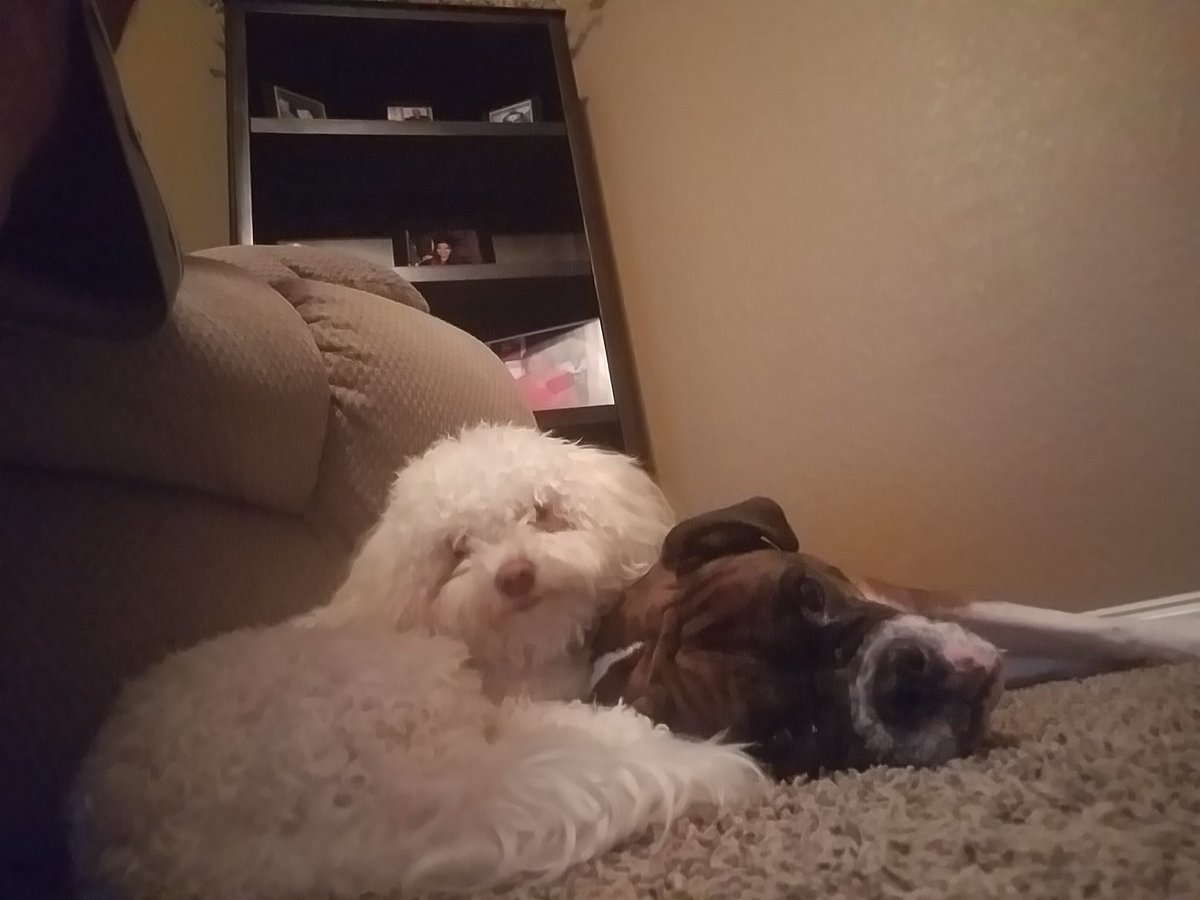 Mommy boys Rocky and Rudy always together.