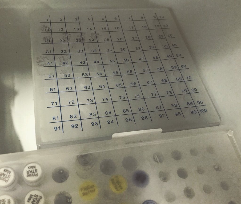 RDFZiGEM's tweet photo. Lab Lab Lab https://t.co/7GkRczDC0Q