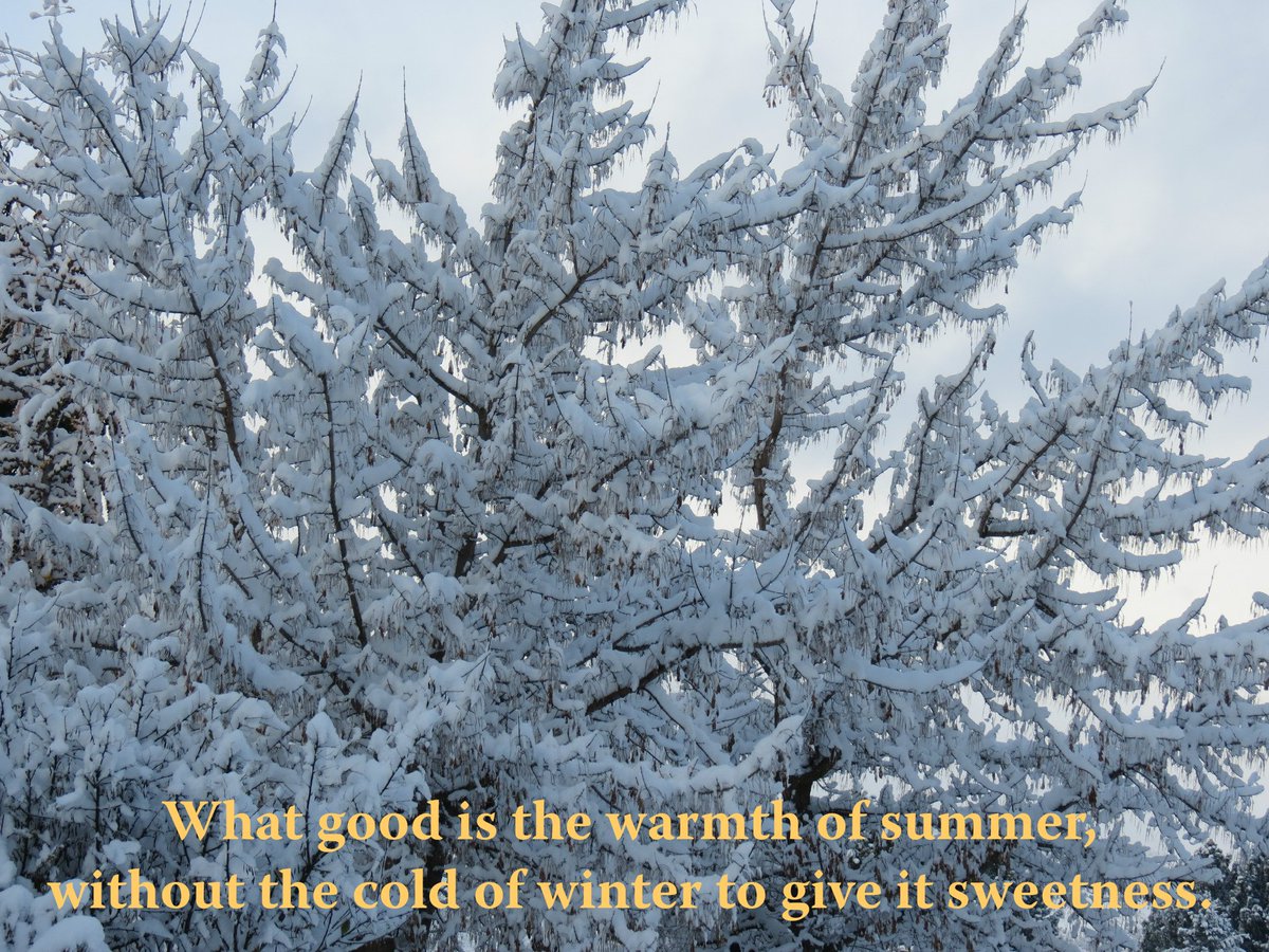 TeWanakaLodge's tweet photo. Just what we need - snow predicted to 500m for the next four days from tomorrow!

#tewanakalodge #lovewanaka #wanakawinter #moresnowcoming #wanakabandb #wanakaaccommodation https://t.co/FySQNPNivV
