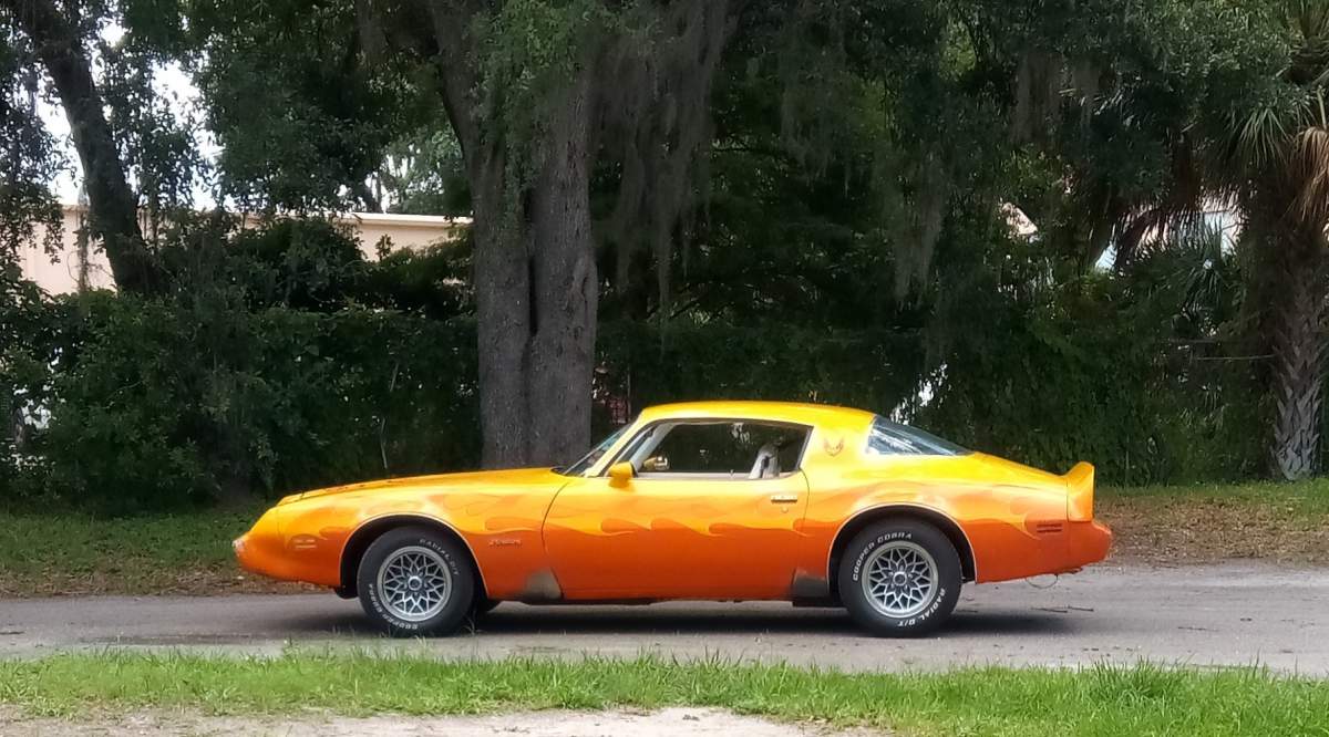 ForeverPontiac's tweet photo. #Garage Grab Thursday! This week we have Chad's 1979 #Firebird 

For more information on this #Pontiac or to add your own Pontiac to our garage, go to: https://t.co/qITpQuagwW 

#foreverpontiac #garagegrabthursday #garagegrab #carsofinstagram #pontiacfirebird #cars #carshow #auto https://t.co/JUF10xuNuF