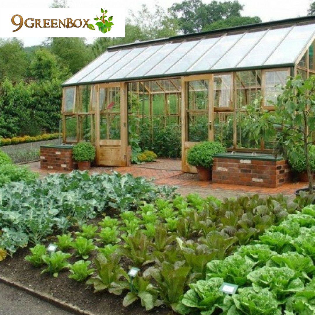 9GreenBox's tweet photo. Founded in Southern #California, we're dedicated to producing lavish #householdplants and bringing the charm of #fengshui to you. Share this! https://t.co/647nNND9AA https://t.co/JdKq6NBBCz