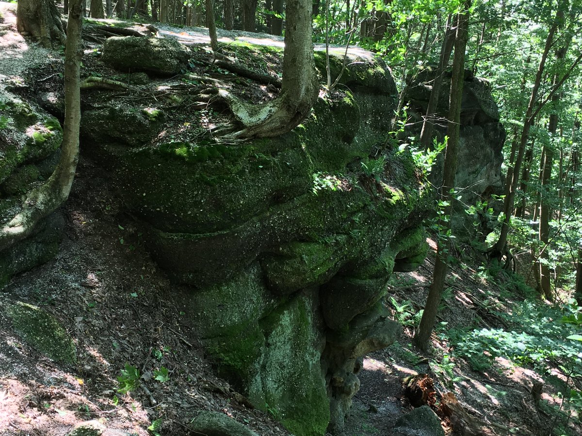 LakeMetroparks's tweet image. Enjoy a unique experience on a guided off-trail hike at Chapin Forest Reservation as we explore the ledges. Sturdy walking/hiking shoes are required. Ledgerock hikes are scheduled throughout the year. 

Upcoming hikes: goto.lakemetroparks.com/ledgerock.

Photo by Derek Meister.