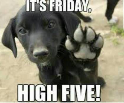drbecs's tweet photo. Happy Friday everyone - and a welcome shout out to my new #Tweetsville followers @ThrivingTribes @Charlton_AB @HayneAdvisory @sammcgolrick @JackHam38216180 โบ https://t.co/LJwCw6kN6f
