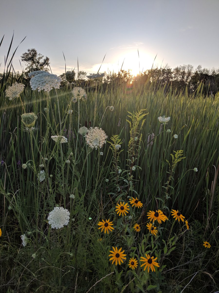ccsweetsecrets's tweet photo. #brickyardtrail evening walk https://t.co/o08bGvkfTe