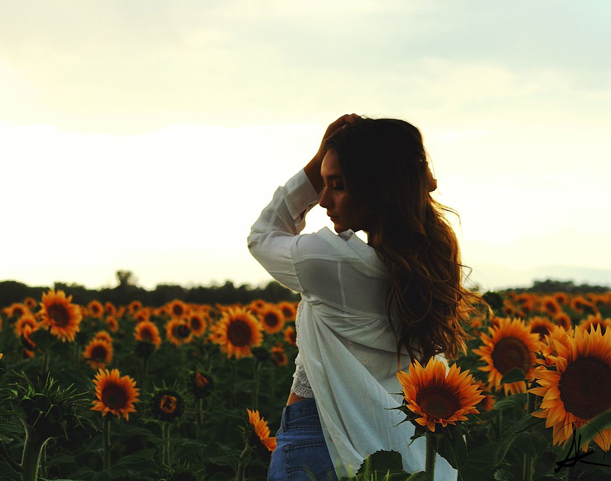 SArtistries's tweet photo. Sunflower Sunset
#naturelovers #nature #Sunflowers #sunset #modeling #beautiful https://t.co/GZGAC6yx67
