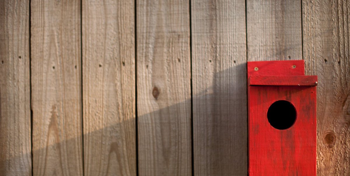 Why don’t kids report #ChildAbuse more often? They worry about being removed from the home, and may also feel ashamed. <a href="/canopychildren/">CANOPY</a>