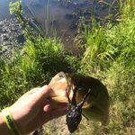 Photo by Angler Pros (@TheAnglerPros)