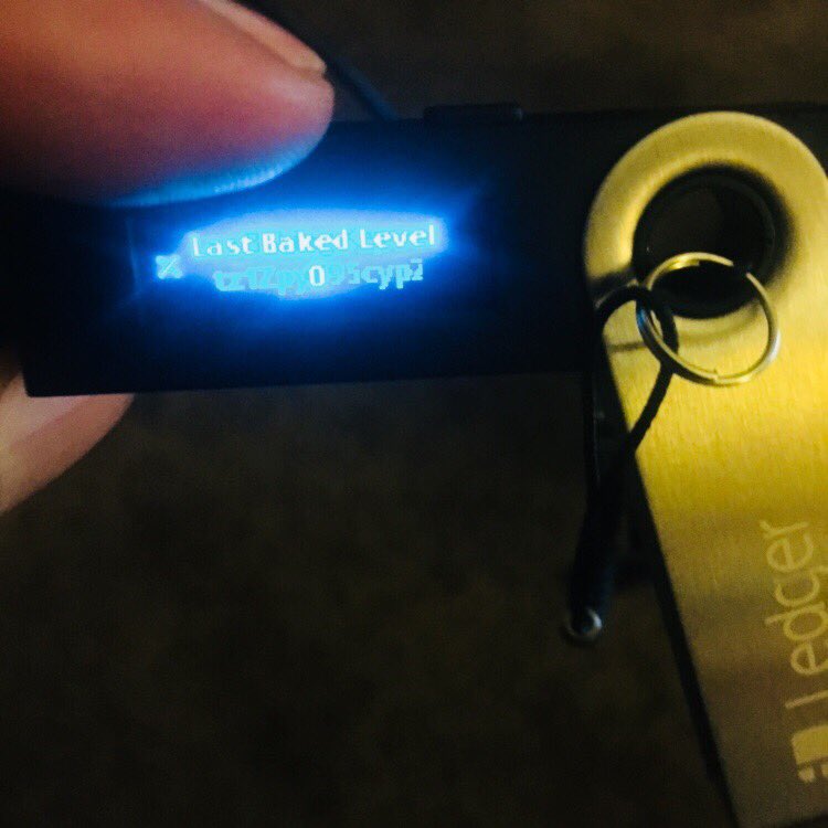 jovitezos's tweet photo. Baker One added a new node to its family of Baker Nodes! #BakerOne #BakerTw0 #Tezos #TezosBakingAppLedger Thank you to @csoreff for the Medium Ledger guide and @breitwoman and your work with Obsidian Systems on Ledger! #wrongnerds https://t.co/DhEKNMoB13
