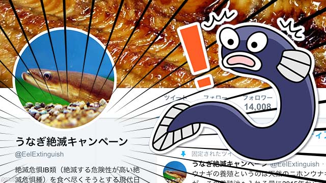 nhk_news's tweet photo. きょうは「土用の丑の日」ですが、ツイッター上では「うなぎ絶滅キャンペーン」というアカウントが話題に。そこで、“僕”がその真意を聞いてみた.。
https://t.co/r5GcoRAz2w https://t.co/EbdHQ6OHLO