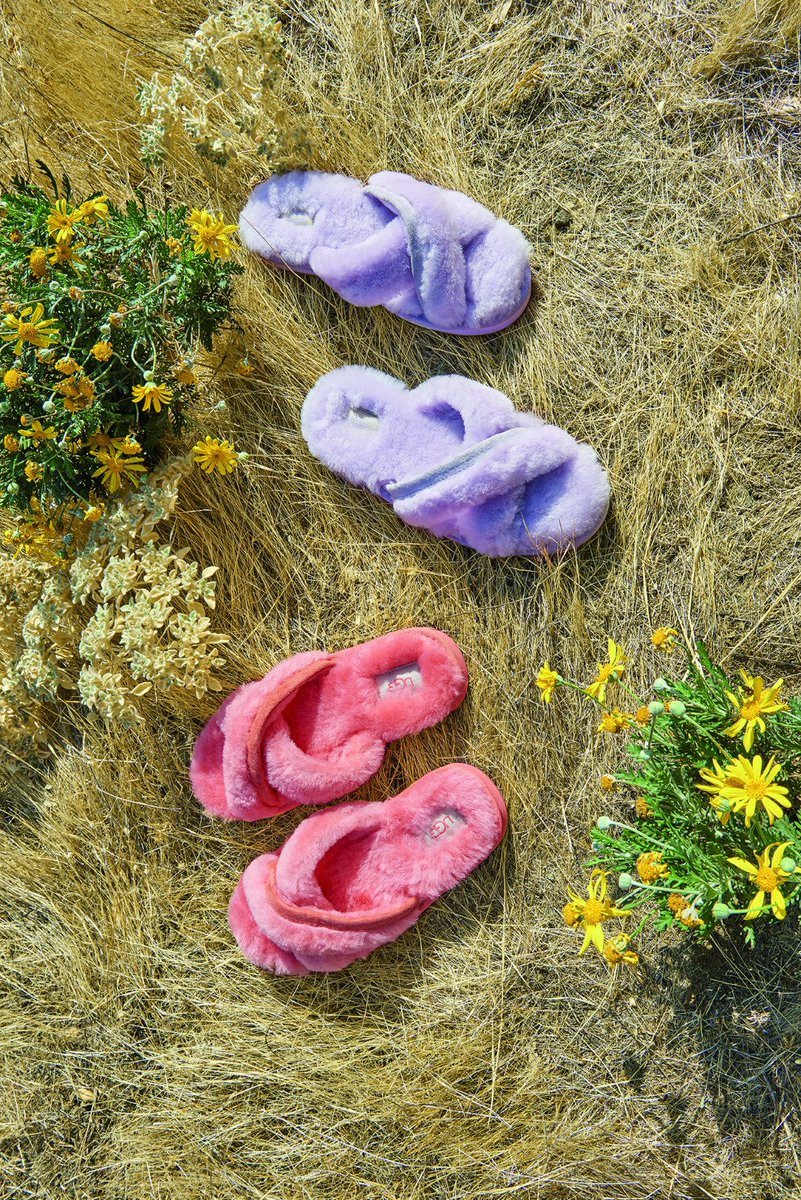 shoecellar (shoecellar1) Twitter