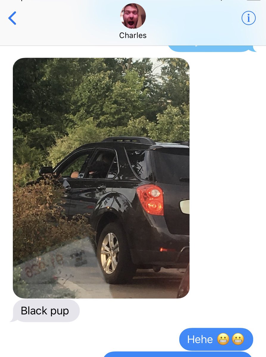 LyssaCat_'s tweet photo. When your bf doesn’t have snap so he texts you pictures of dogs when he sees them Cause he knows you love them 😍❤️😍❤️ #ihaveakeeper https://t.co/T97Ys4YxyW