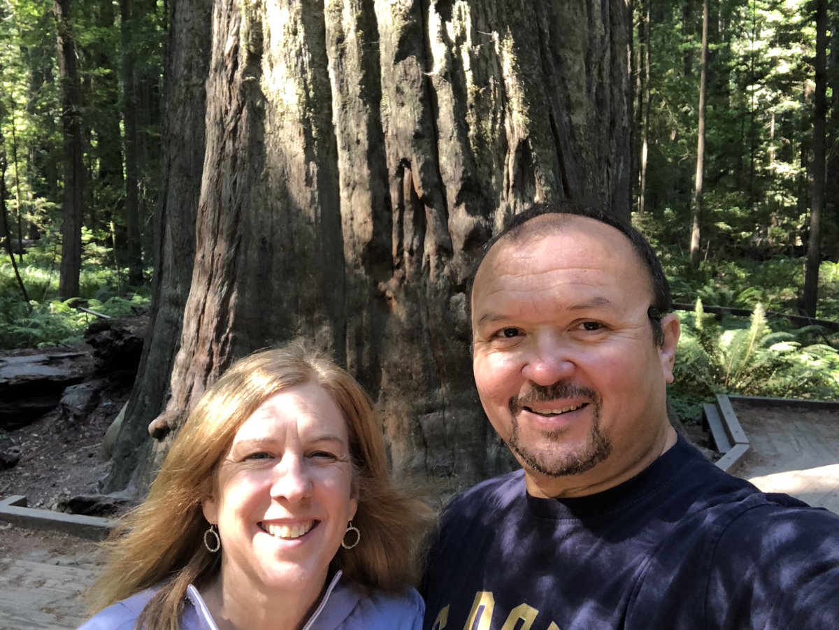 Checking a must see off my list. #avenueofthegiants