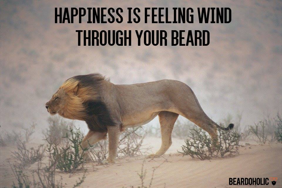 beardoholic's tweet photo. Happiness Is Feeling Wind
Through Your Beard
#BeardInTheWind #BeardedLife https://t.co/0j38fovYlG