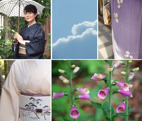 紋屋井関 帯 花 ブルーグレー smk-koperasi.sch.id