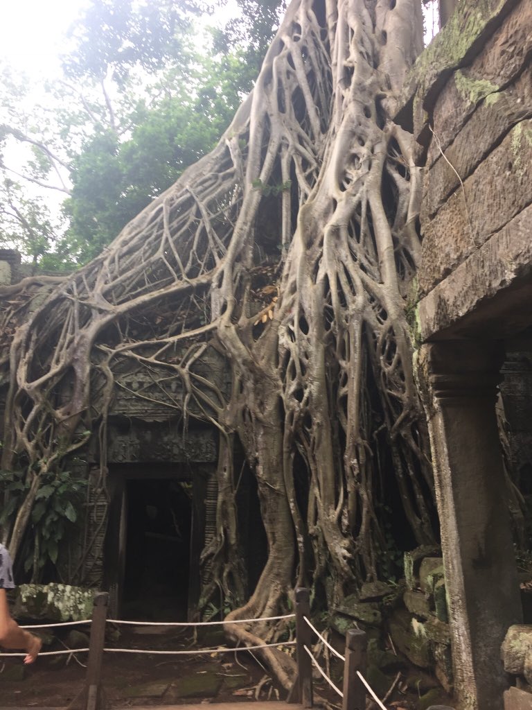 SixthFormSCHS's tweet photo. What an amazing two weeks we have had in #Cambodia and we are all sad it is over! The last two days in Siem Reap have provided some well deserved R&amp;R! @SineMetuSCHS @SCHSgdst @TAExpeditions #Cambodia18 #ourtrueadventure https://t.co/olGP1lNsLx