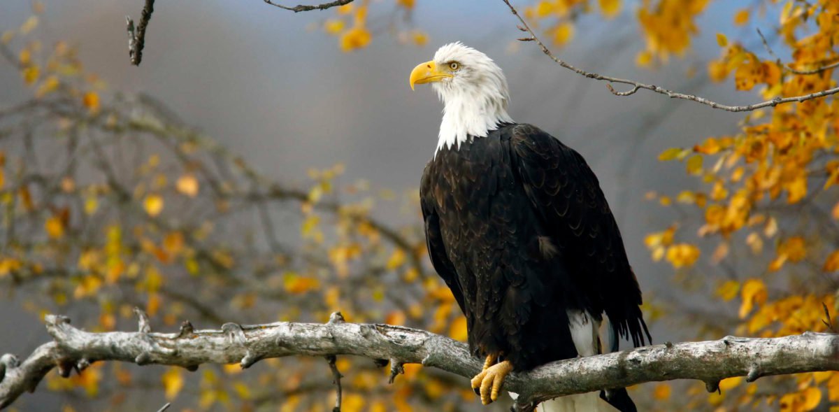 Wind Energy tweet media