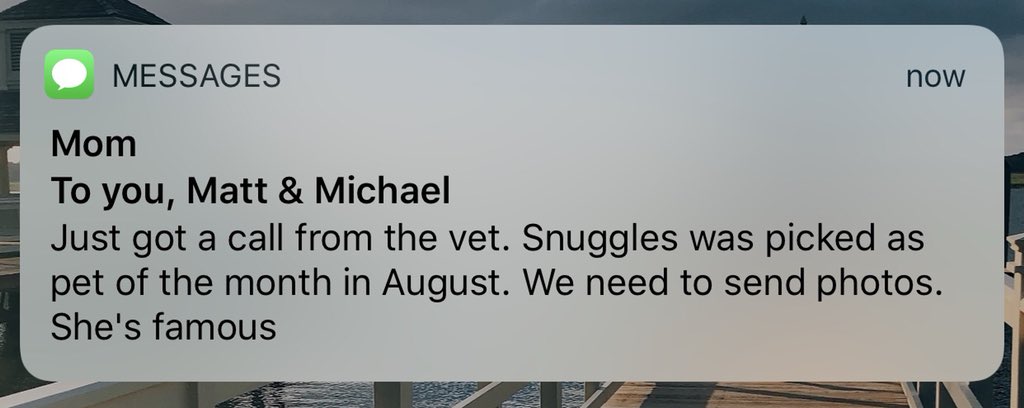 maggie tweet media