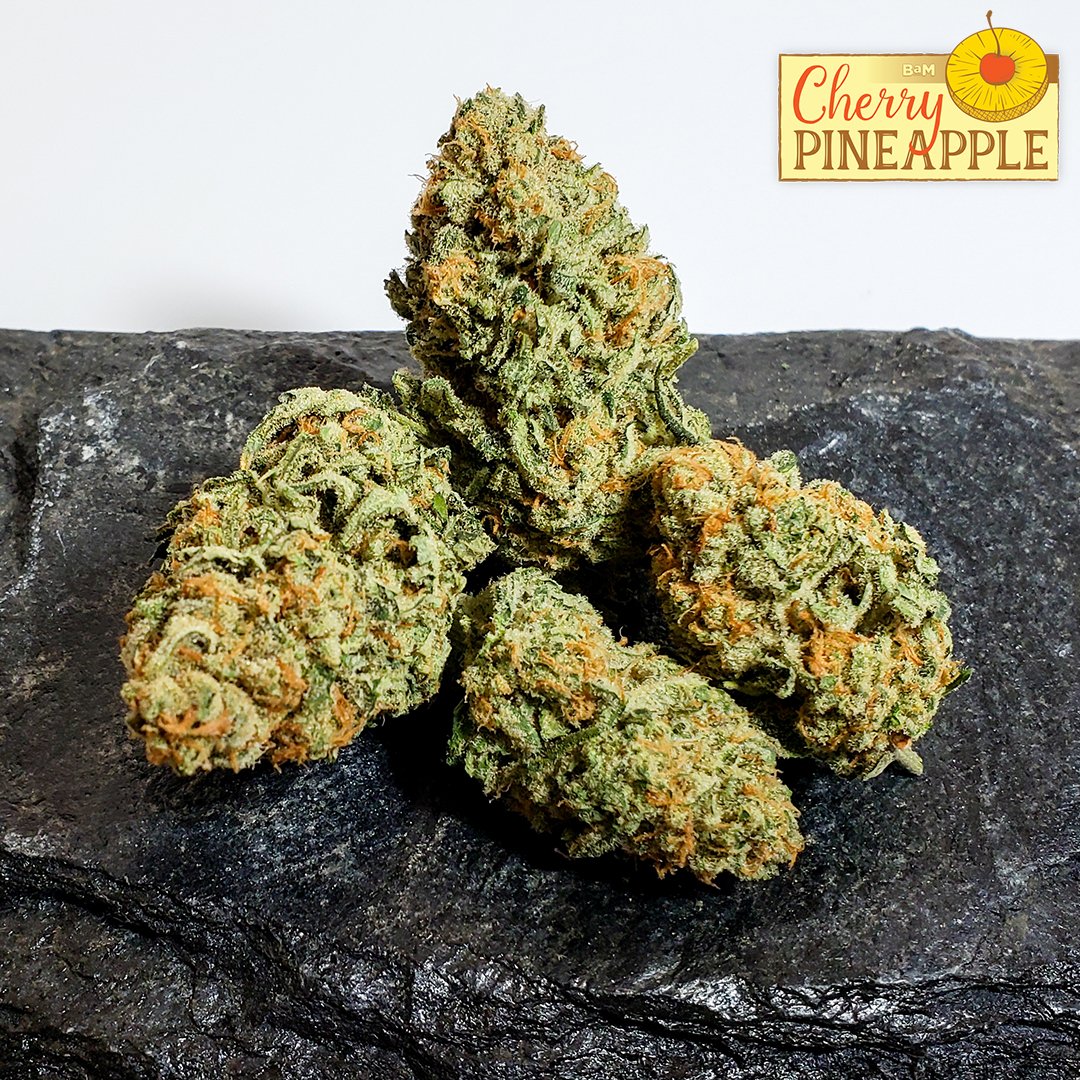 bodyandmindBAM's tweet photo. Cherry Pineapple
(Cherry Pie x Pineapple Kush)

#BaM #BodyandMind #BaMmarijuana #CherryPineapple #cannabis #flower #bud #weed #marijuana #highlife #cannabiscommunity #weedsociety #maryjane #iwillmarrymarry #weedstagram #LasVegas #Nevada https://t.co/1SWWJnQxTL