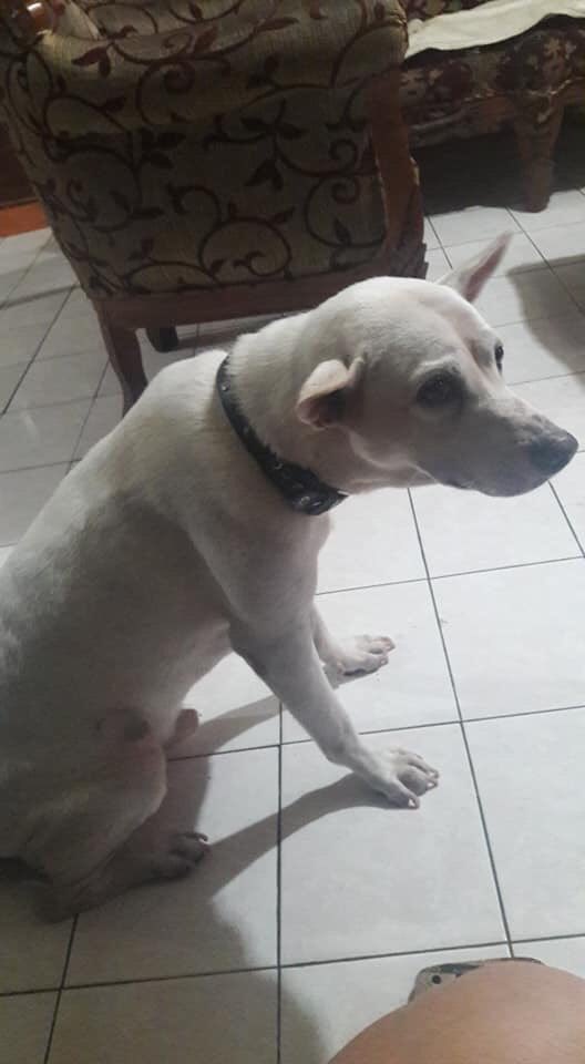 I miss you, everyday Openg...