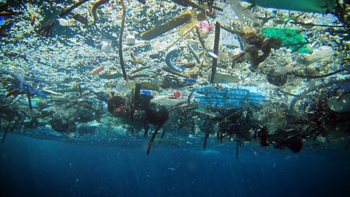 maclayney's tweet photo. “It’s only one straw”

“It’s only one plastic bag”

“It’s only one coffee cup”

“I’m only one person, it doesn’t make a difference”

Said 8 billion people. 

You have the power to make a difference. In fact, you are the only one who can. https://t.co/MqEGeQ7zBU