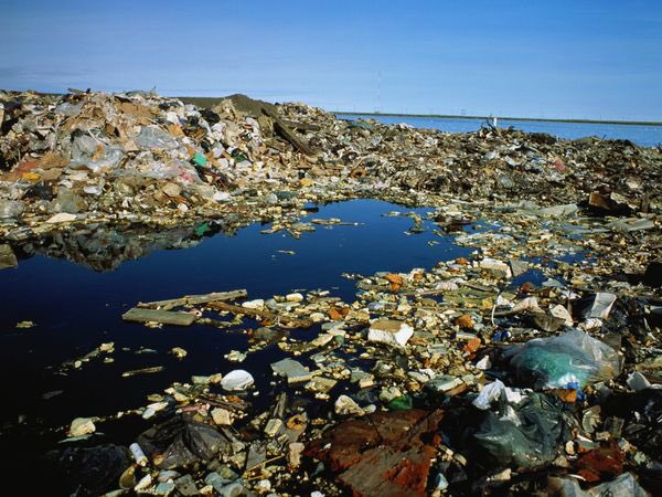 maclayney's tweet photo. “It’s only one straw”

“It’s only one plastic bag”

“It’s only one coffee cup”

“I’m only one person, it doesn’t make a difference”

Said 8 billion people. 

You have the power to make a difference. In fact, you are the only one who can. https://t.co/MqEGeQ7zBU