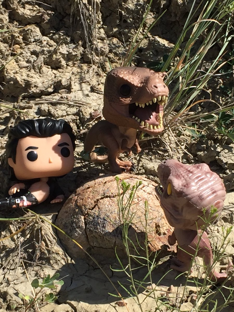 MesozoicMuse's tweet photo. Unbelievable. In the last hour of the last day, I found a dinosaur. An occipital condyle was exposed on the hill. @ashinonyx and I checked it out and found the frill eroding out. Next year we’ll be back for this trike and find what’s in there! #trikeforce #romhellcreek https://t.co/5gOATlpN2Y