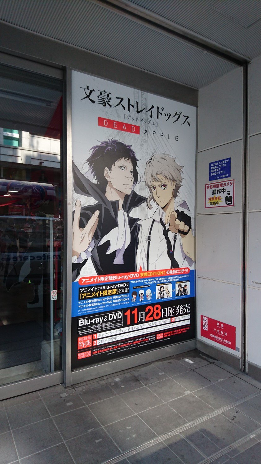 文スト　DVD/BD アニメイト限定特典　タペストリー　ポスター 文スト DVD/BD アニメイト限定特典 タペストリー ポスター BD