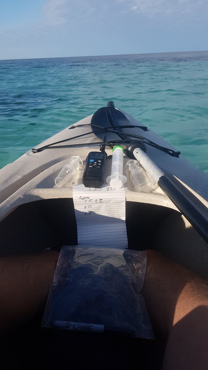 _HaydenMartin's tweet photo. Pretty happy with my makeshift lab bench and the view isnt that bad either! #fieldwork #phdlife #kayaklab #labwithaview https://t.co/pYhSqw2hwt