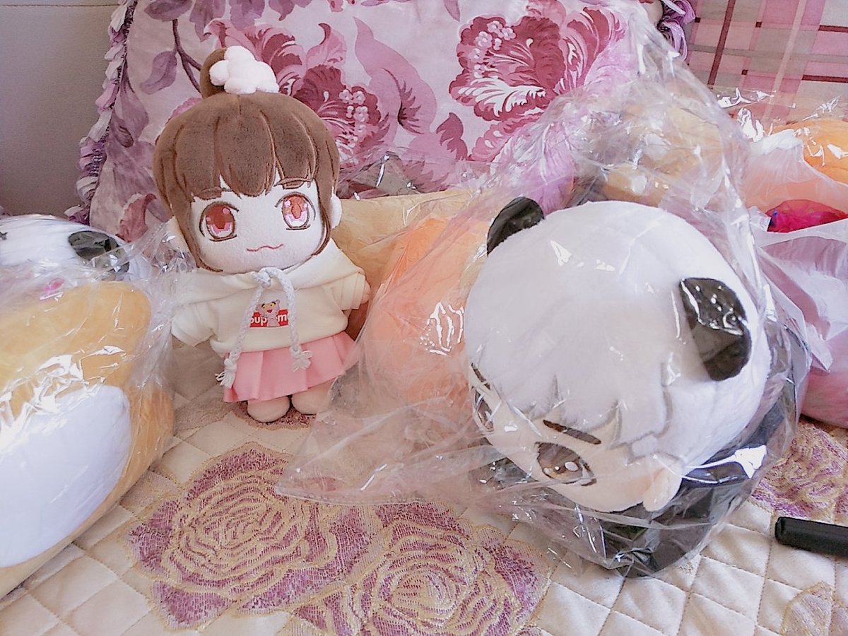 OAY_VVIP's tweet photo. Although he is only 20cm, his head is very big. https://t.co/IrQUDRM7DK