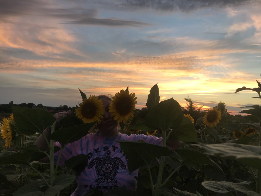 13_R3GAN's tweet photo. I was having a bad day today, then I went to a sunflower field and my heart has never been happier 💕😍💜🌻 https://t.co/s1Wny5ciWh
