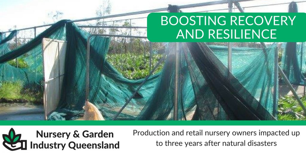 Nurseries are taking up to 2.5 years to complete repairs and reporting an income loss of over $350,000 following a natural disaster. NGIQ is working with nurseries to reduce this recovery time and improve their resilience. Find out more here: ow.ly/su3j30l1azL #agchatoz